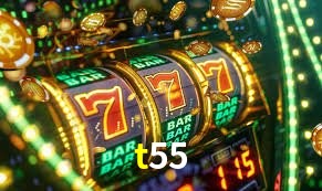 Flash Promotion t55