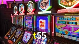 Programa VIP t55